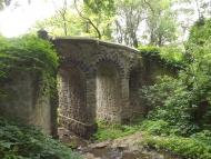 Вільшанка - Останні фото