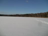 Партизанське з panoramio.com