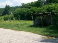 Трощин з panoramio.com