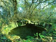 Мельниця з panoramio.com