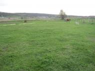 Козубівка - Останні фото