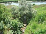 Коньково - Последние фото