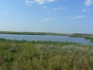 Карла Лібкнехта - Останні фото