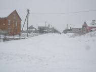 Гаї-Шевченківські з panoramio.com