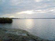 Лиманське з panoramio.com