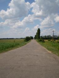 Веселий Поділ - Останні фото