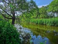 Піщаний Брід - Останні фото