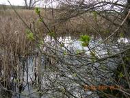 Корсунівка з panoramio.com