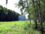 Проліски з panoramio.com