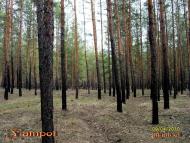 Ямпіль з panoramio.com