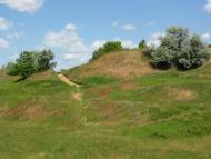 Вільшани з panoramio.com