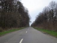 Жнятино з panoramio.com