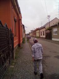 Виноградів з panoramio.com