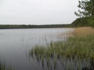 Партизанське з panoramio.com