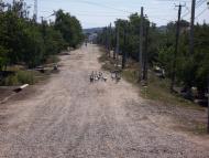 Тарутине з panoramio.com