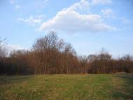 Лагоди з panoramio.com