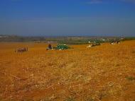 Віліне з panoramio.com