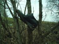 Шестакове з panoramio.com