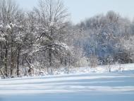 Романівка - Останні фото