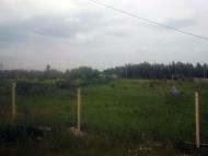 Загальці - Останні фото