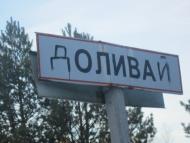 Олива з panoramio.com