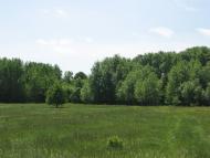 Савинці з panoramio.com