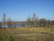 Неморож з panoramio.com