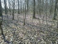 Фертешолмаш з panoramio.com