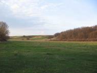 Лагоди з panoramio.com