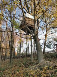 Маків з panoramio.com