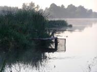 Горбанівка - Останні фото