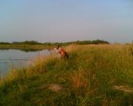 Фертешолмаш з panoramio.com