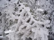 Перегінське з panoramio.com