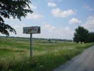 Борсуки з panoramio.com