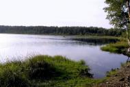 Лісне з panoramio.com