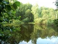 Покровське - Останні фото