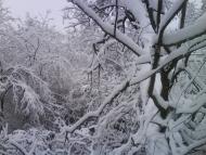 Снятин з panoramio.com