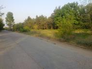 Галицинове з panoramio.com