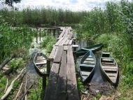 Дейманівка з panoramio.com