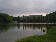 Вербка з panoramio.com