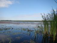 Сокирна - Останні фото