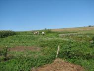 Тарутине з panoramio.com