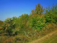 Плотинне з panoramio.com