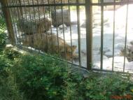 Рудківці з panoramio.com