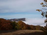 Відрадне з panoramio.com