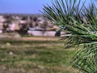 Чернігівка з panoramio.com