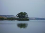 Зуївка з panoramio.com