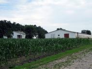 Демидівка - Останні фото