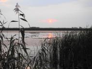 Сокирна - Останні фото