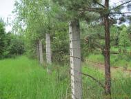 Карпилівка з panoramio.com